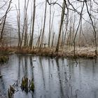 Altes Freibad bei Fischbach/Saar  (2)