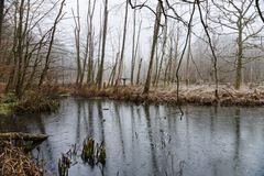 Altes Freibad bei Fischbach/Saar  (2)