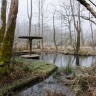 Altes Freibad bei Fischbach/Saar  (3)