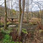 Altes Freibad bei Fischbach/Saar