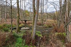 Altes Freibad bei Fischbach/Saar