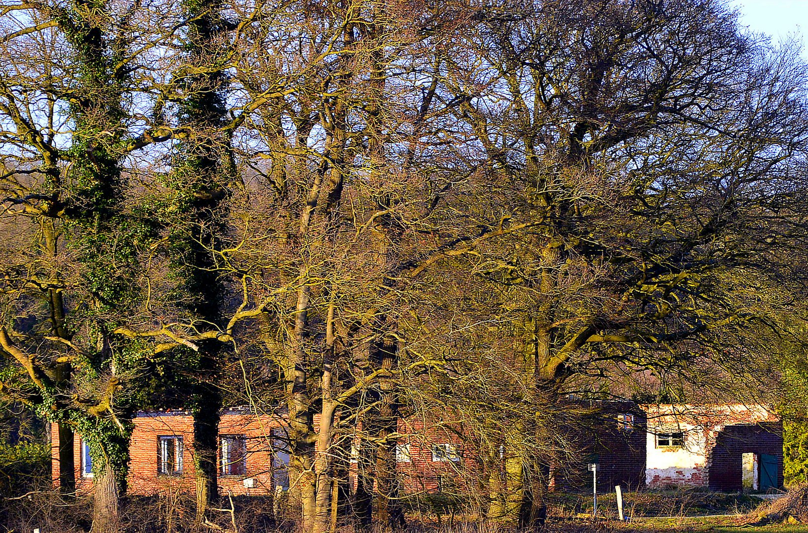 Altes Gehöft im Wald 