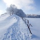 Altes Geländer auf der Solitüde