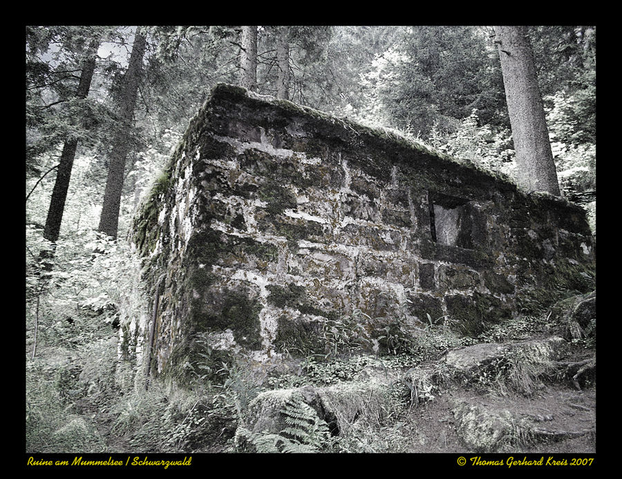 Altes Haus am Mummelsee