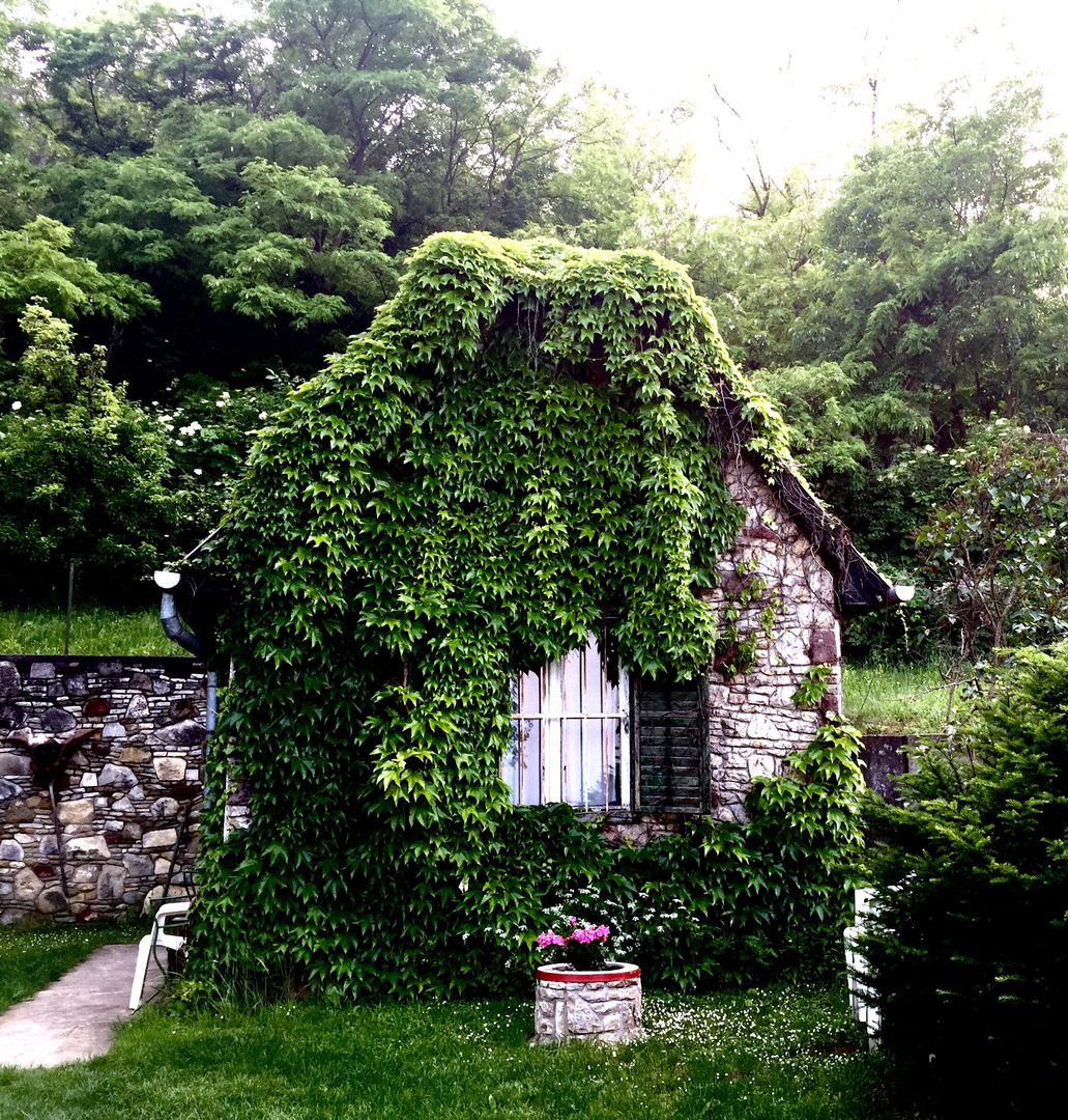 Altes Haus am Waldrand