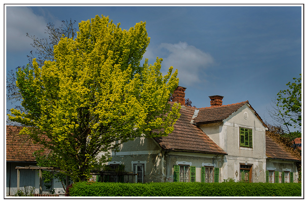 Altes Haus im Frühling