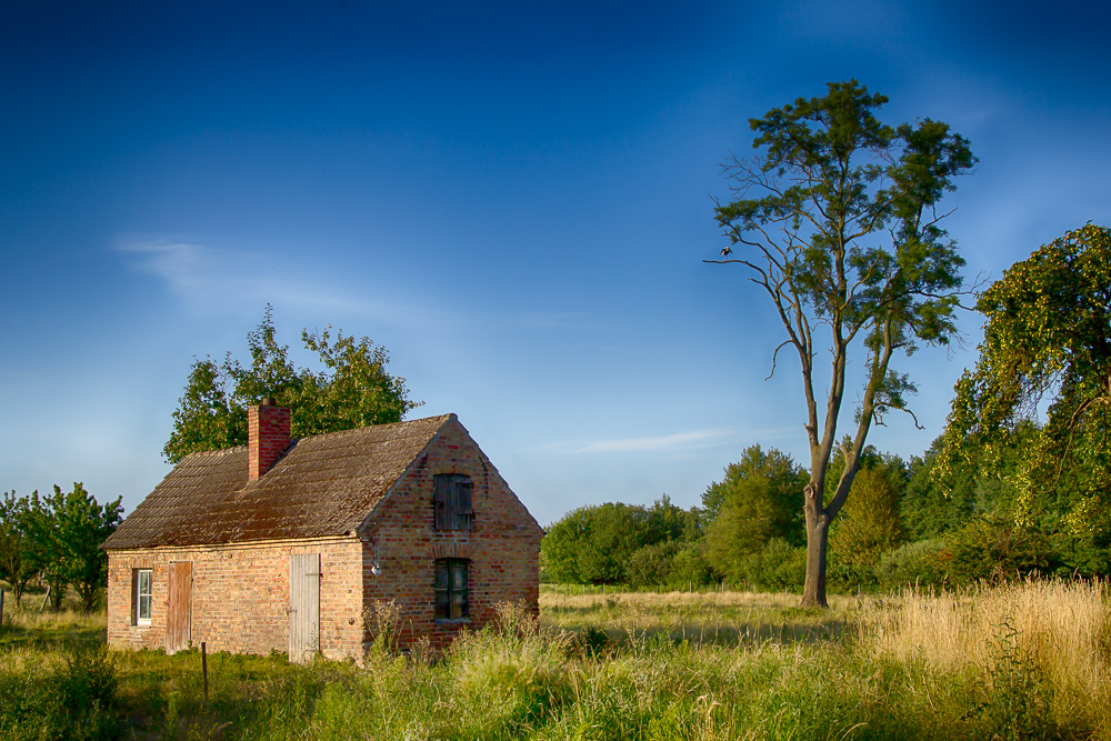 Altes Haus im Grasland