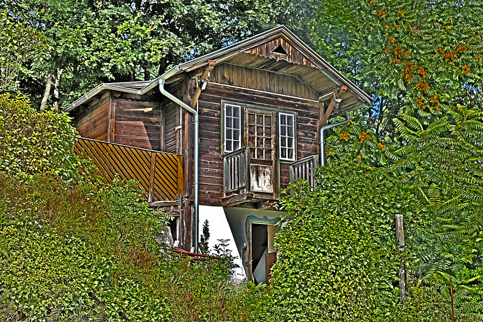 Altes Haus im Wald