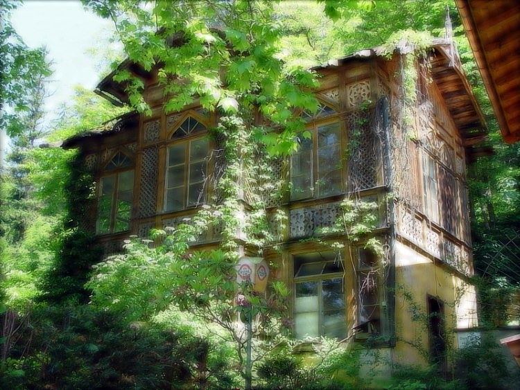 Altes Haus im Wald