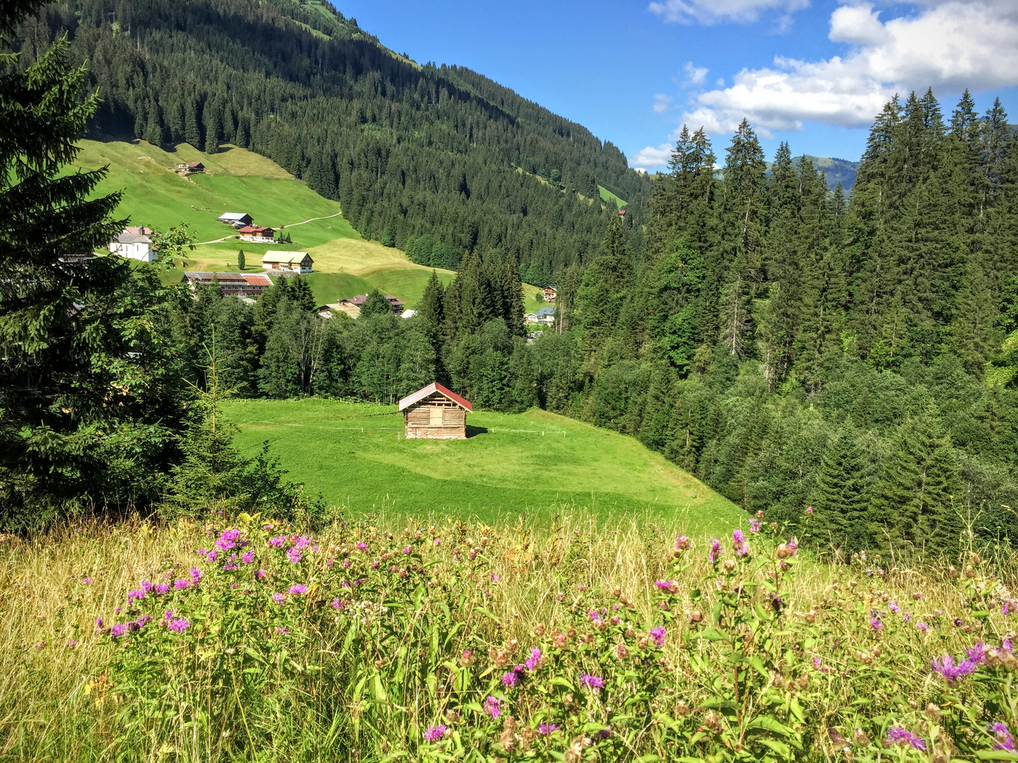 Altes Haus in der Natur