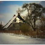 altes Haus in voller Blüte (im Winter)