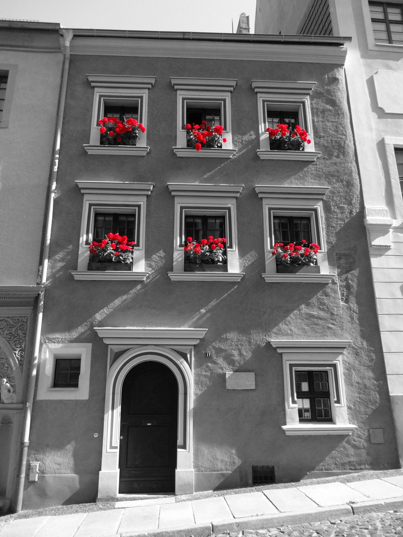 Altes Haus mit Blüten