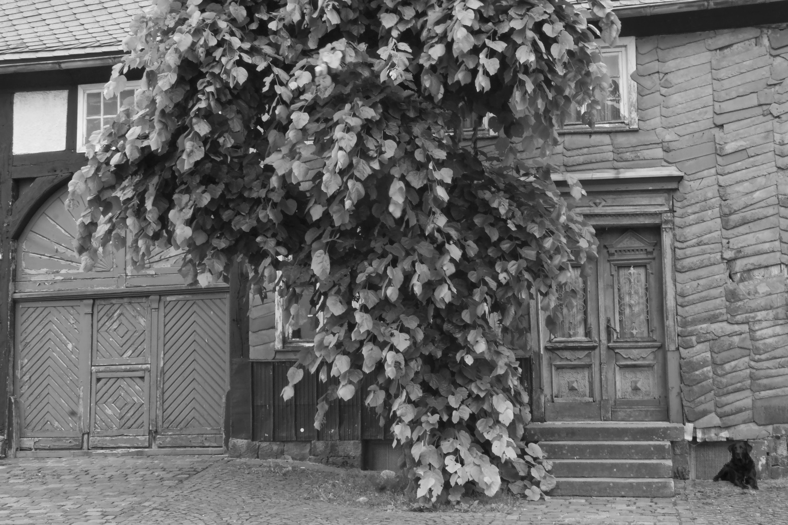 Altes Haus mit Tür und Tor