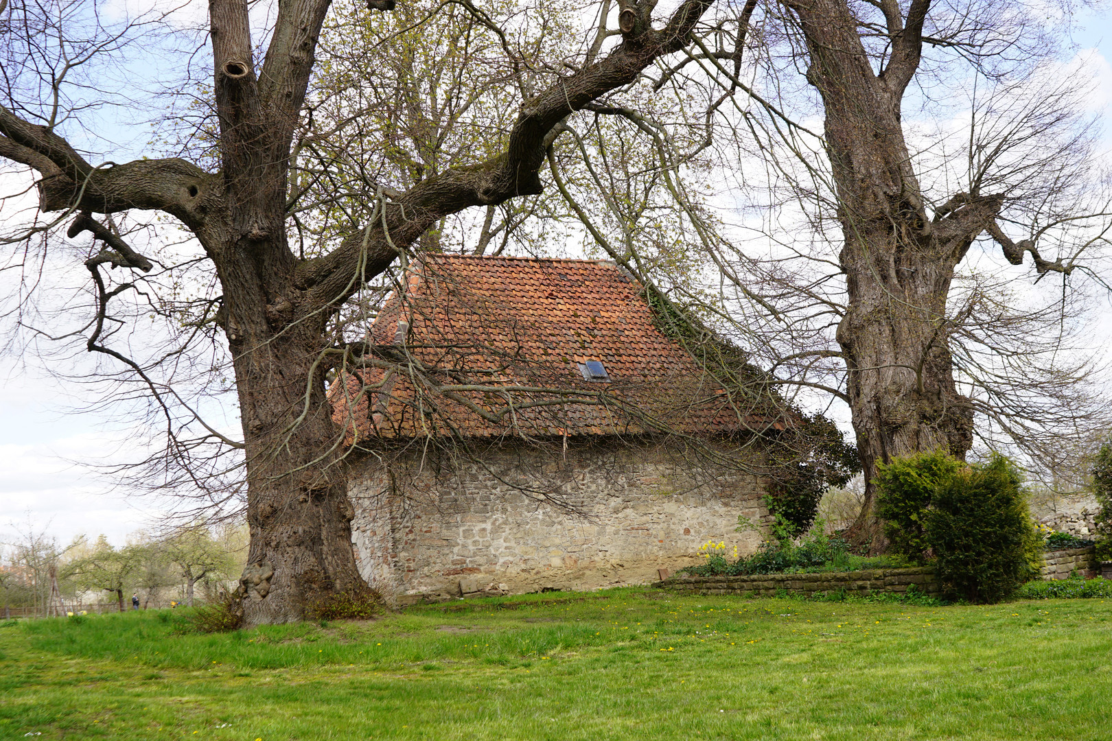 altes Haus und alte Bäume