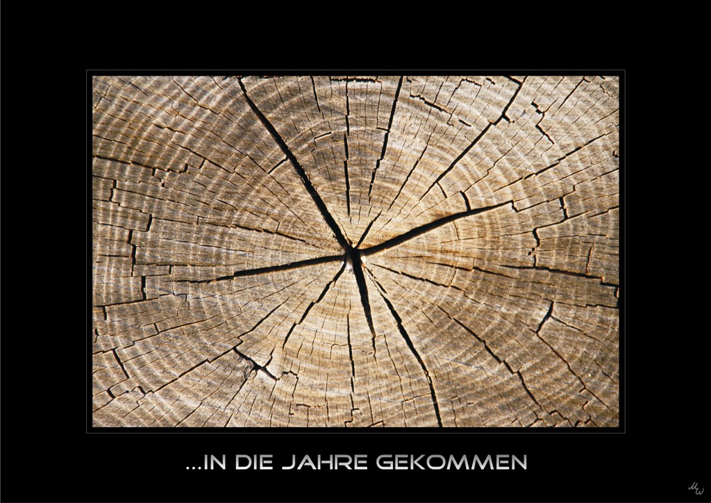 altes Holz