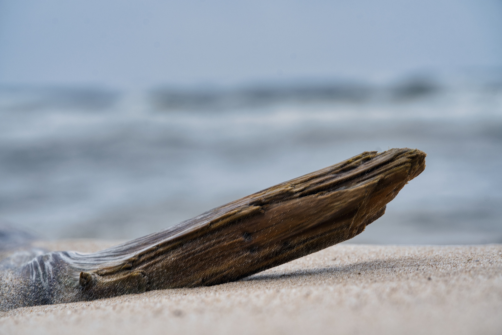 Altes Holz am Strand