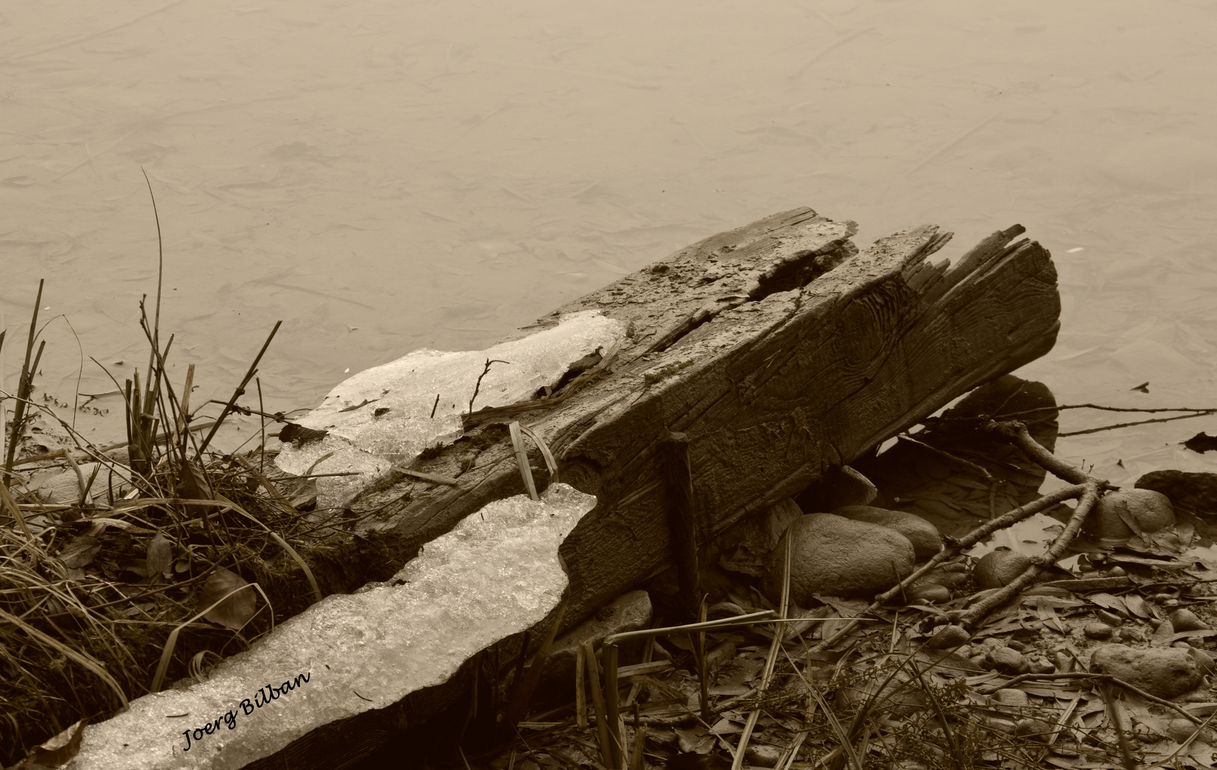 Altes Holz, sehr altes Holz.... Foto & Bild | sonstiges, fossilien