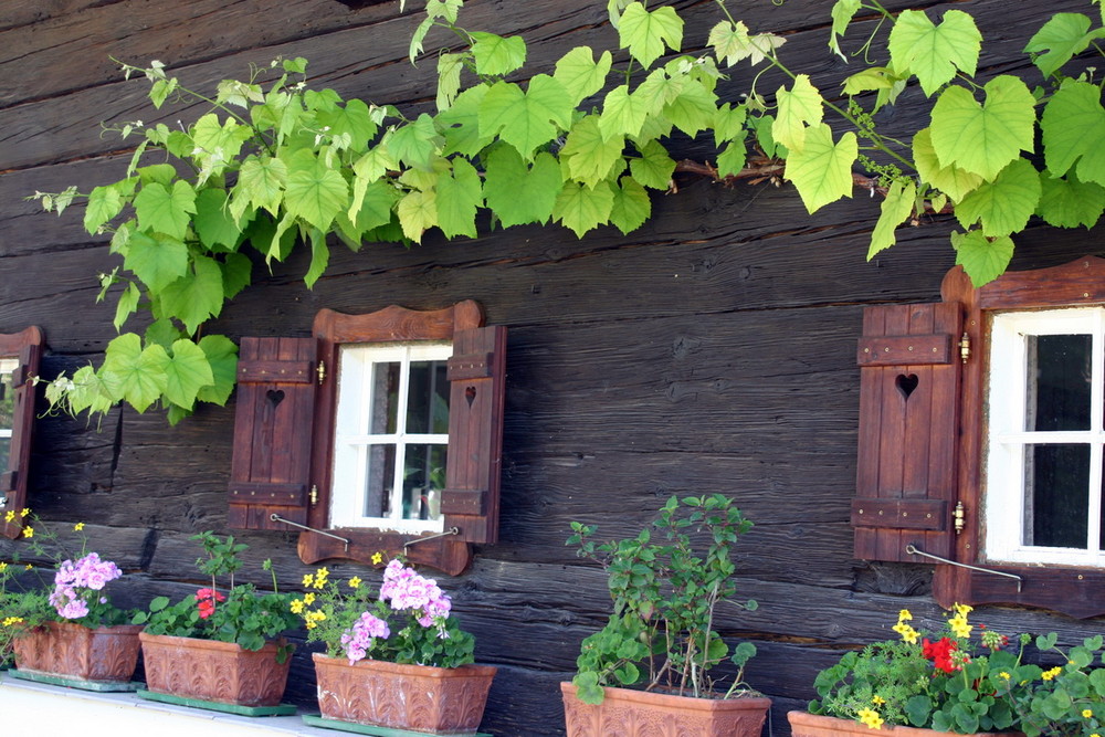 Altes Holzhaus in der Südsteiermark