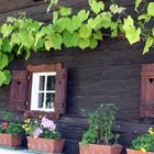 Altes Holzhaus in der Südsteiermark