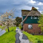 Altes Land - Auf dem Lühedeich