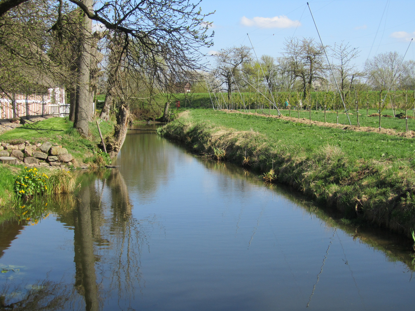 Altes Land bei Jork