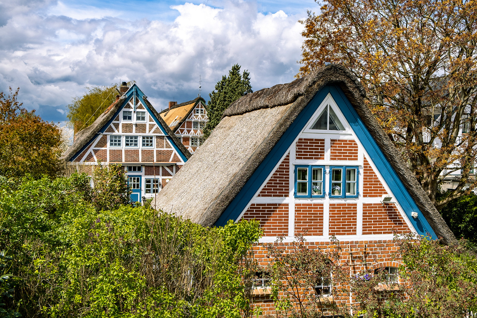 Altes Land - Fachwerk am Lühedeich