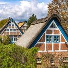 Altes Land - Fachwerk am Lühedeich