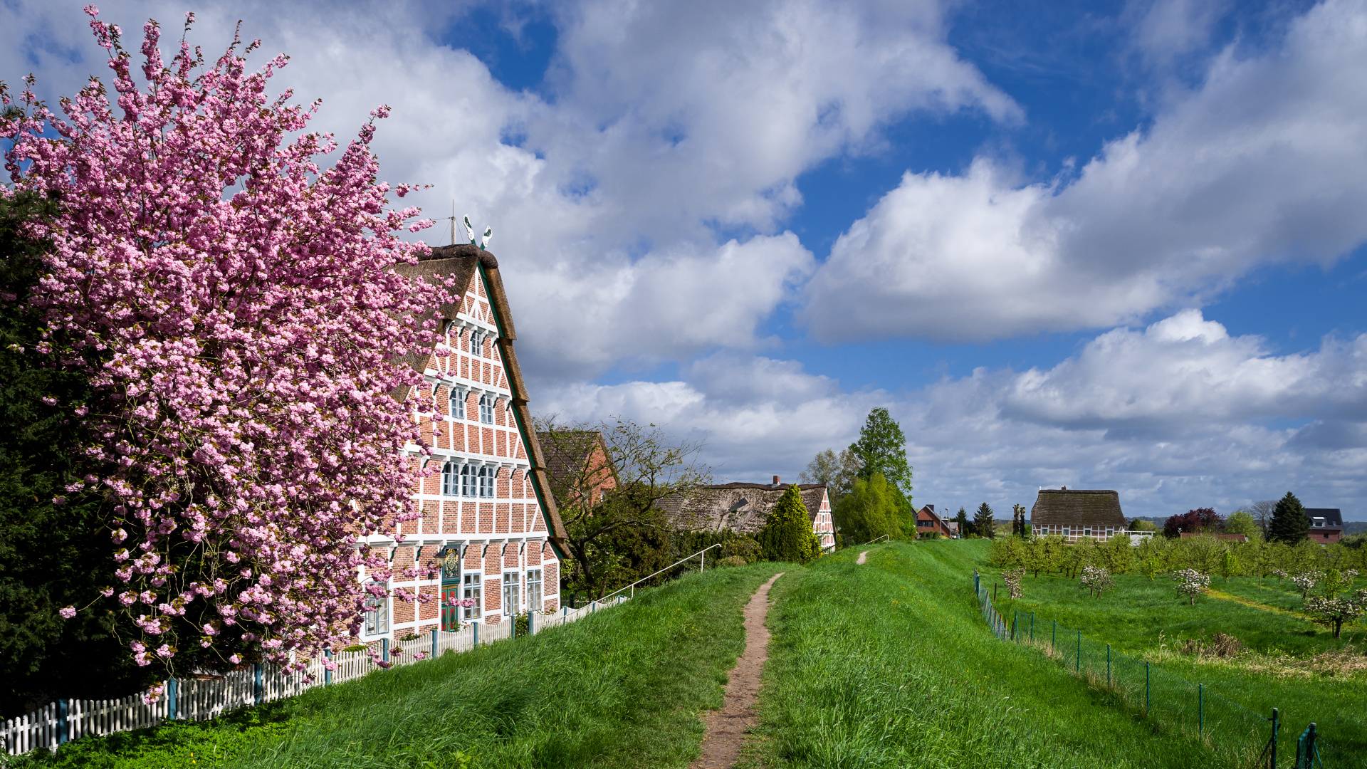 Altes Land Frühling