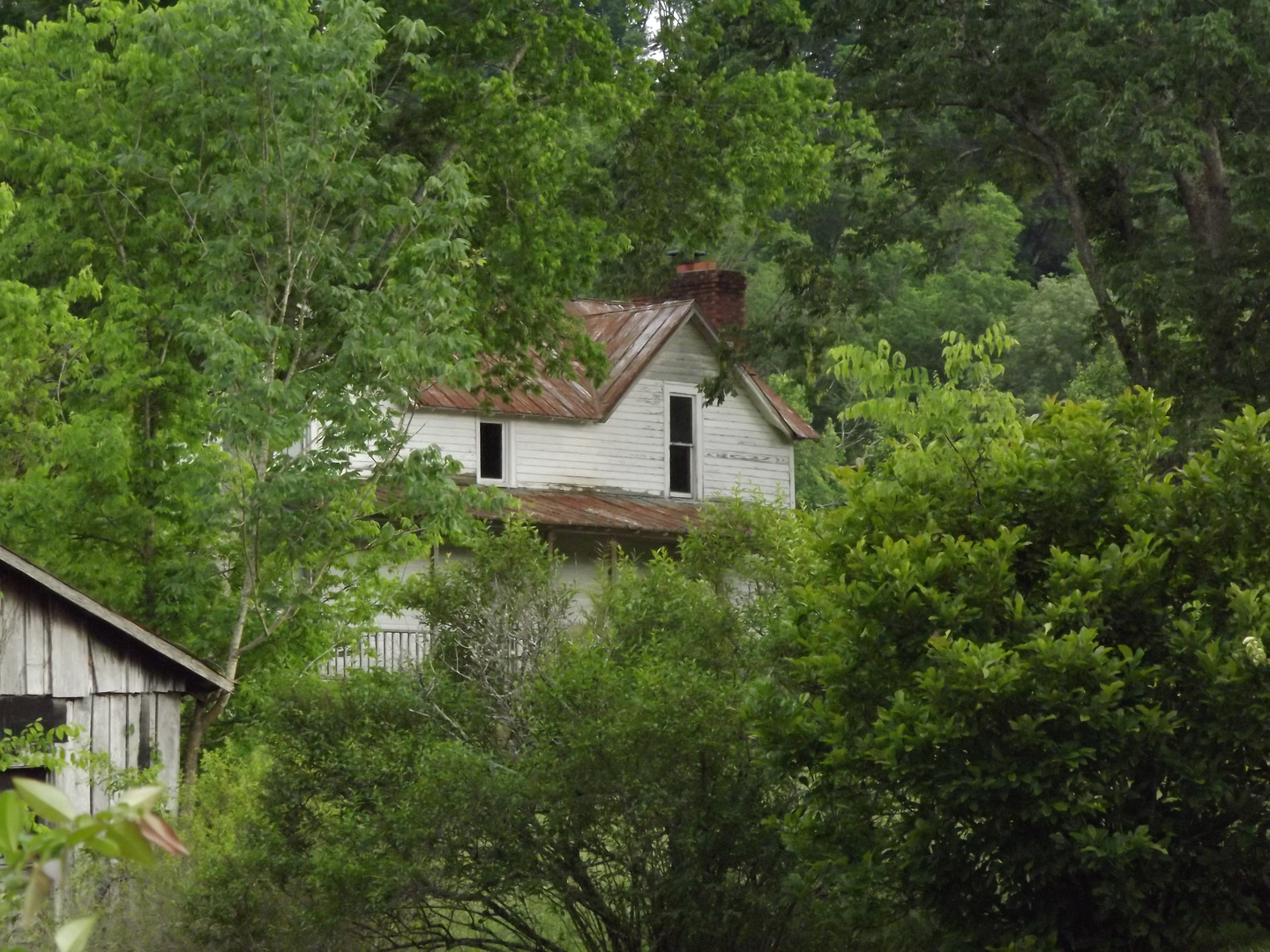 Altes Landhaus von Bäumen umgeben.