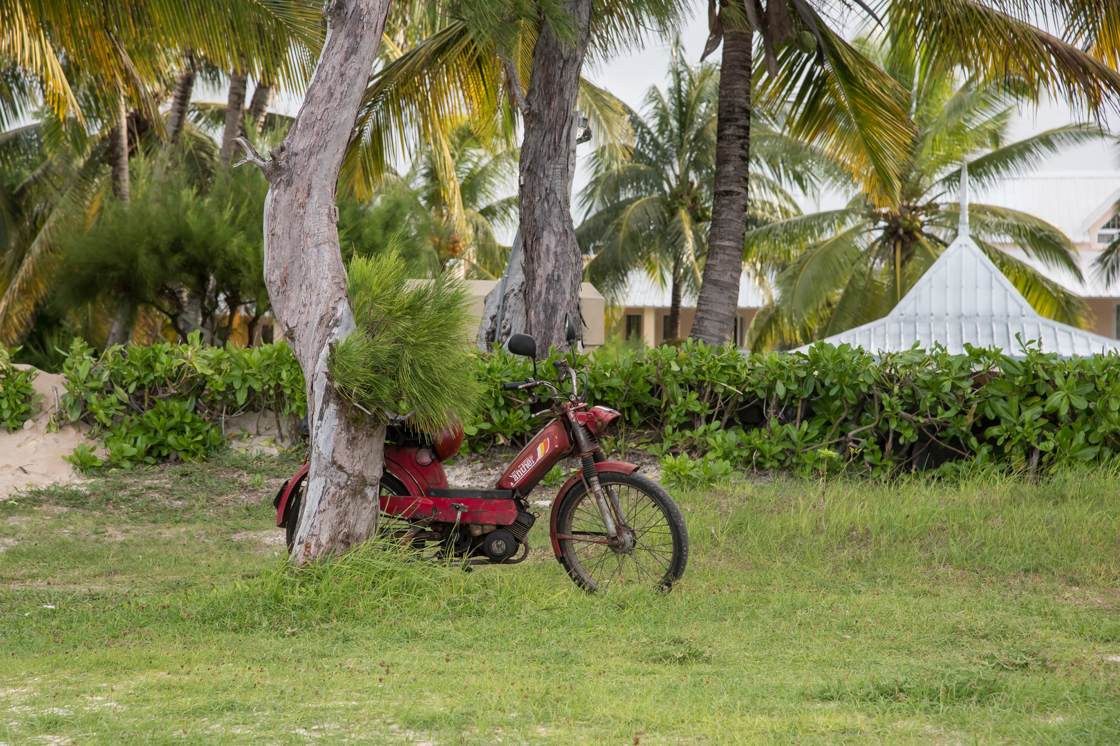 Altes Mofa am Strand von Mauritius