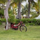 Altes Mofa am Strand von Mauritius