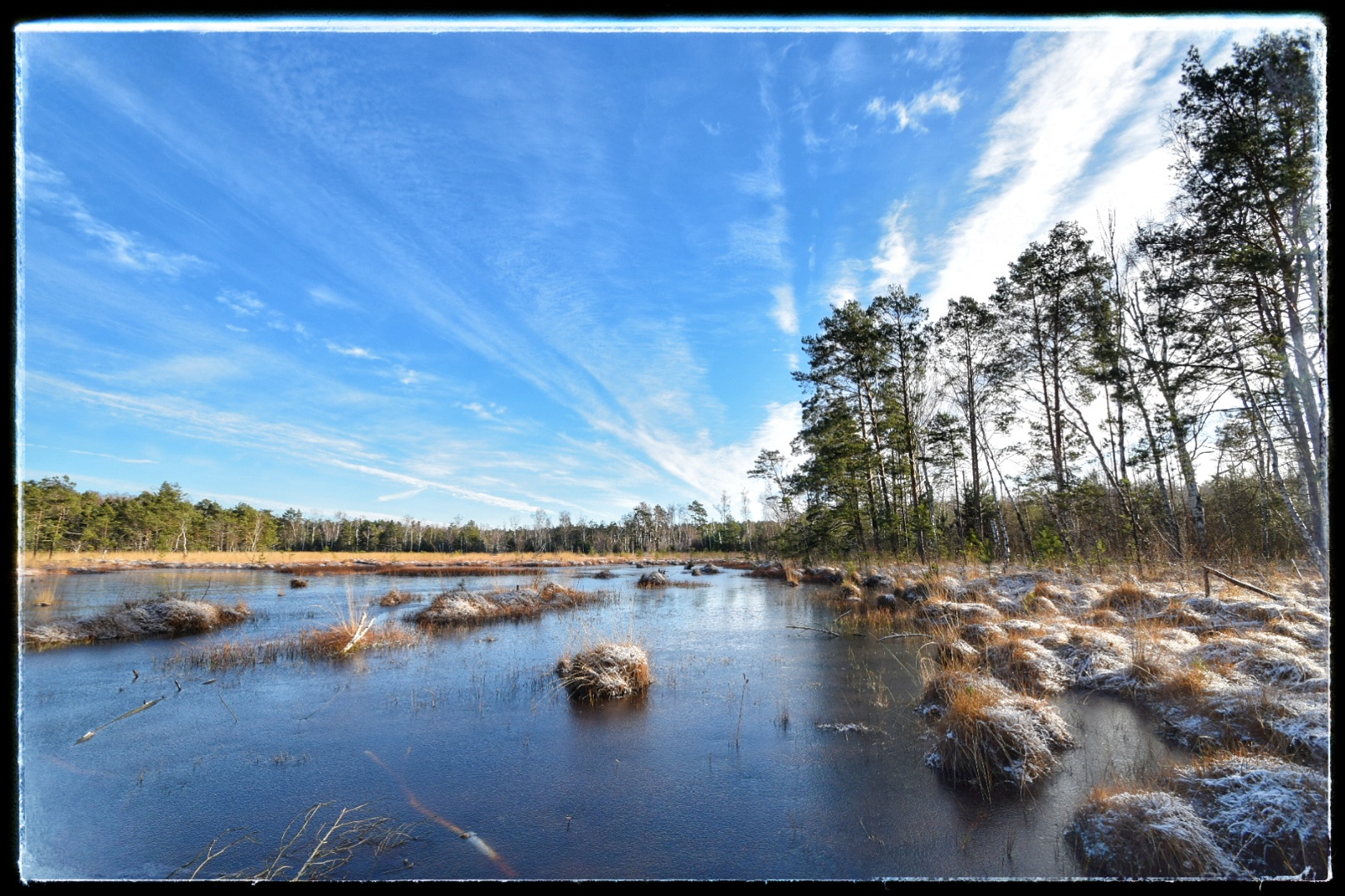 Altes Moor