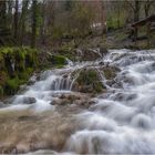 Altes Mühlrad im Bach