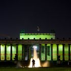 Altes Museum in grün