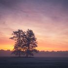 Altes Paar im Morgenlicht