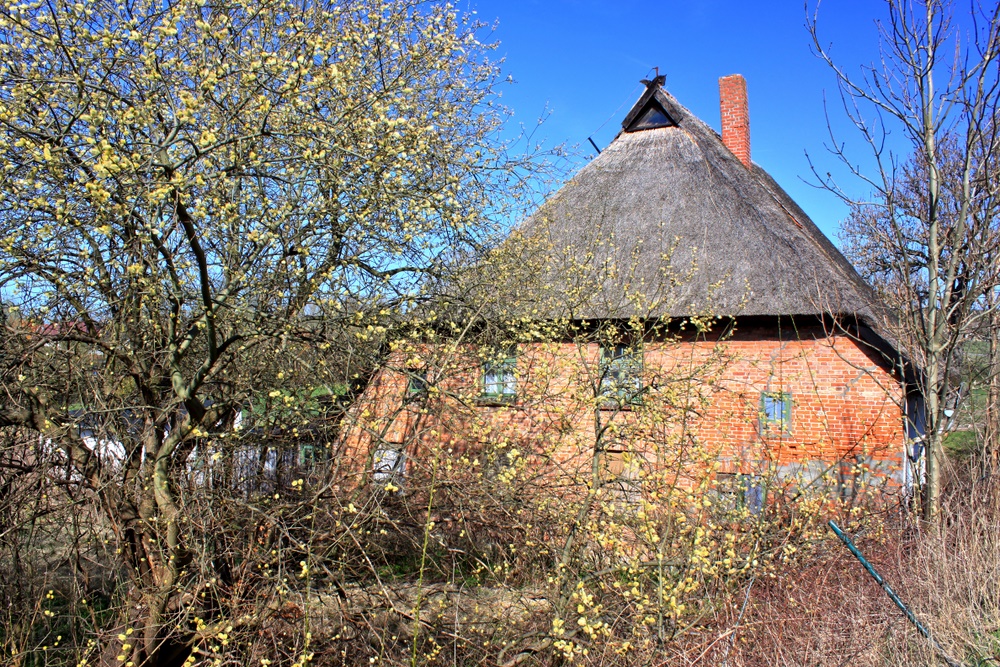 Altes Reetdachhaus