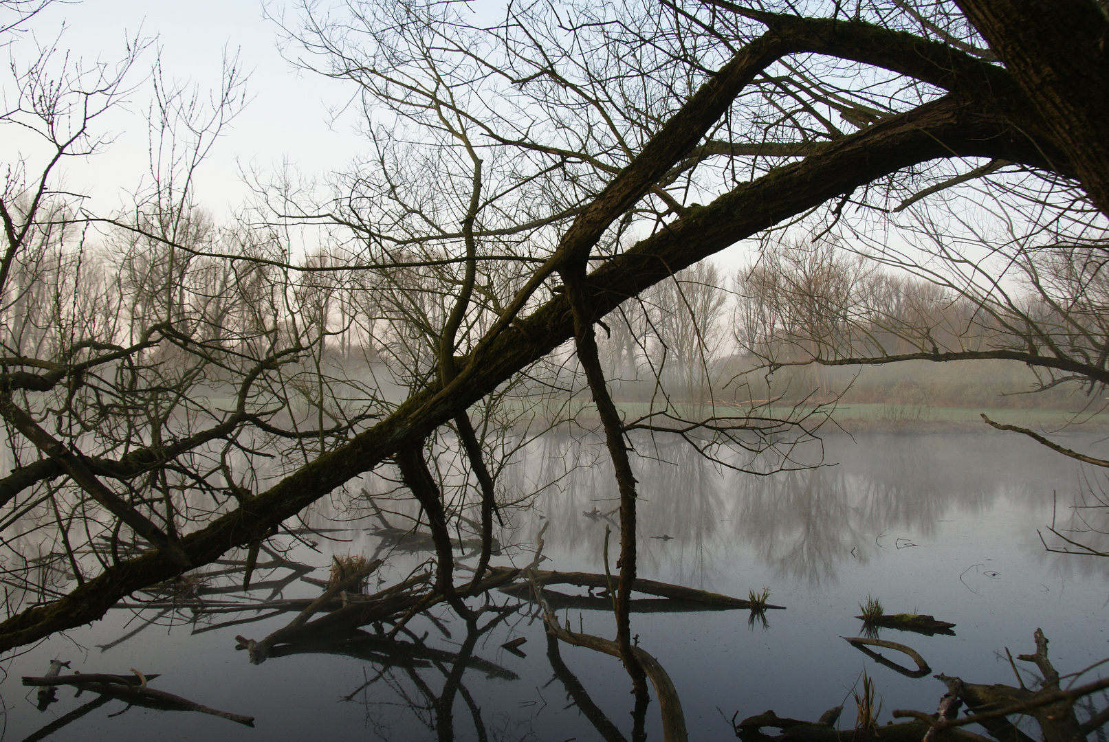 Altes Rheinbett , in den Kämpen D.dorf