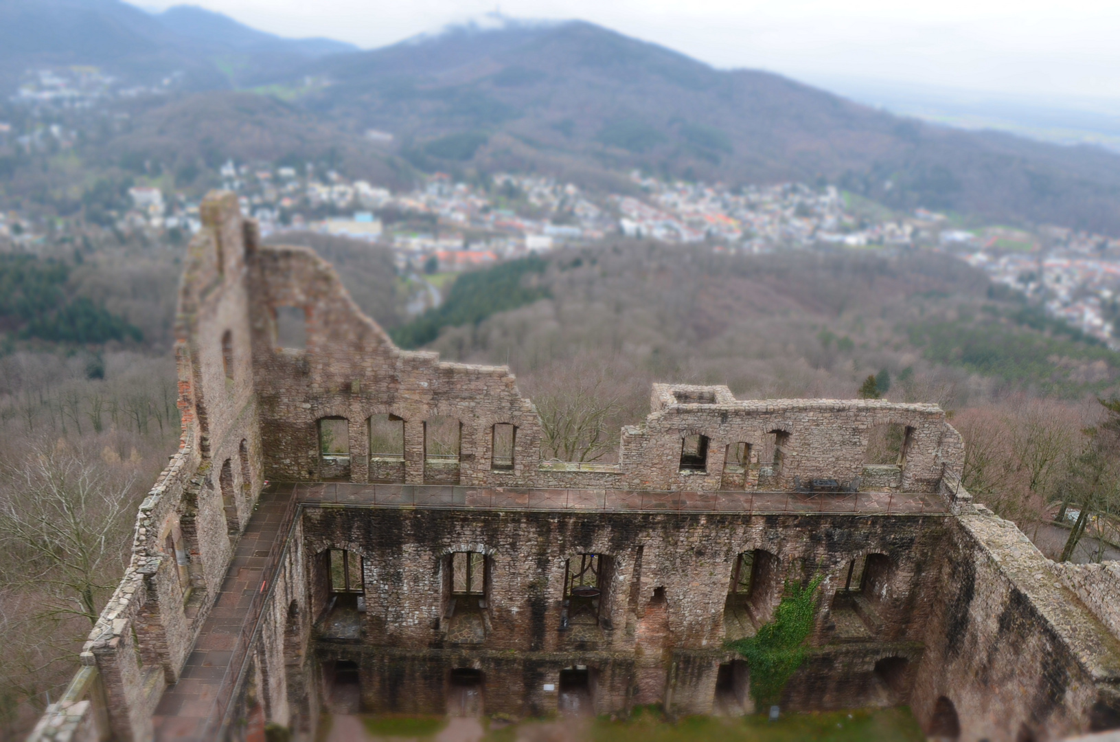 Altes Schloss bei Baden Baden mit der größten Windharfe Europas Foto