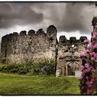 Altes Schloss in Cornwall