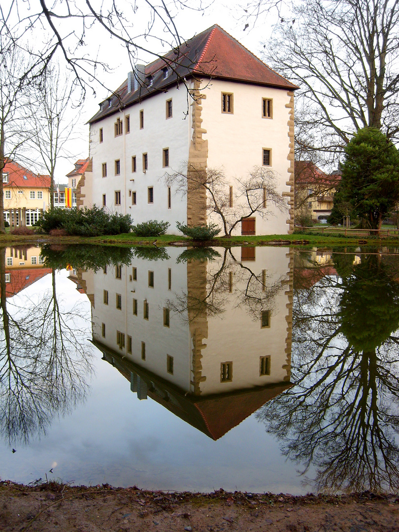 Altes Schloss Neckarbischofsheim