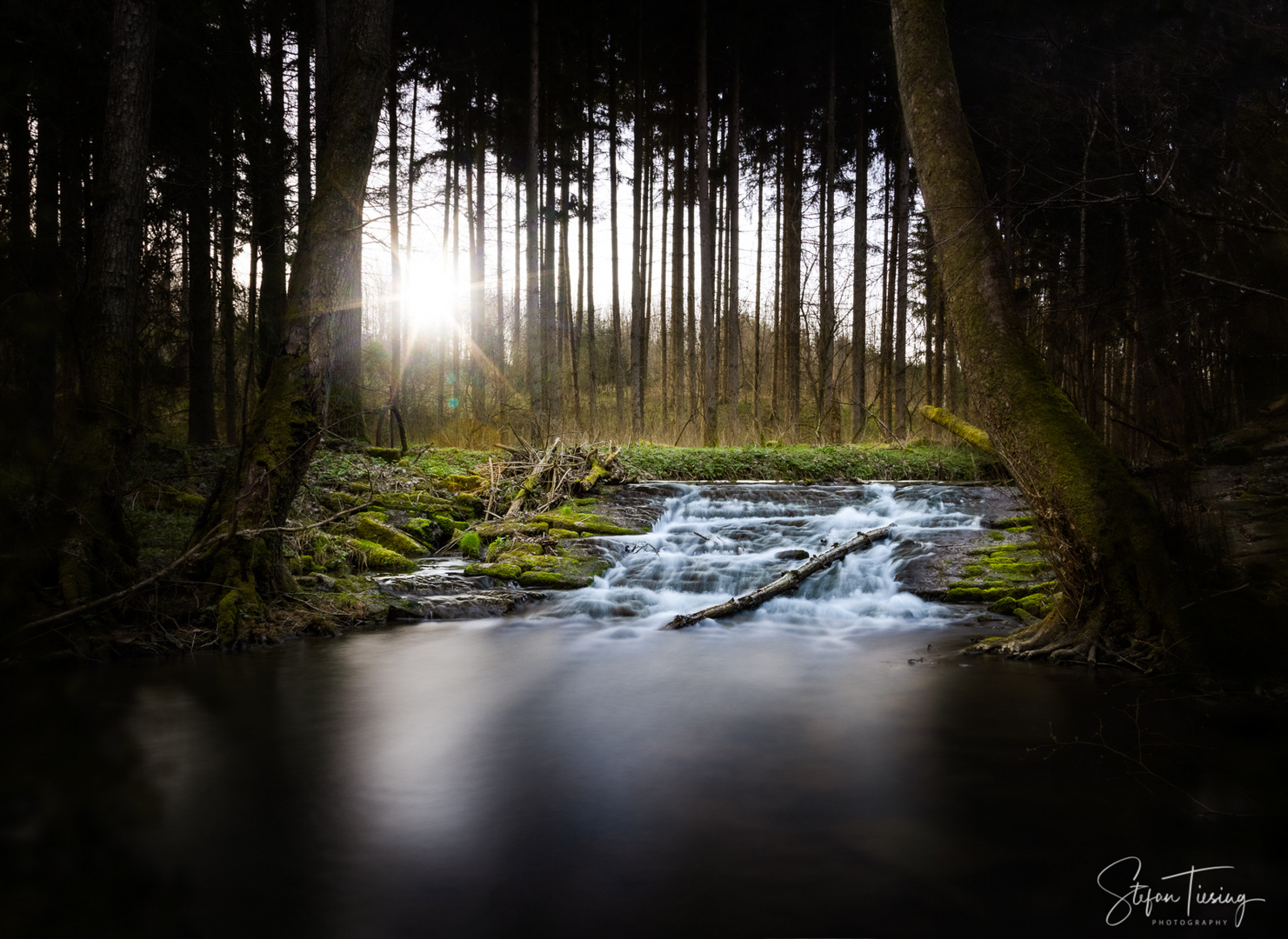 Altes Stauwehr am Rinschbach