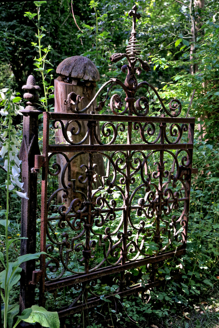 altes Tor zum wilden Garten - old gate to wild garden