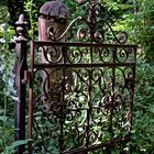 altes Tor zum wilden Garten - old gate to wild garden