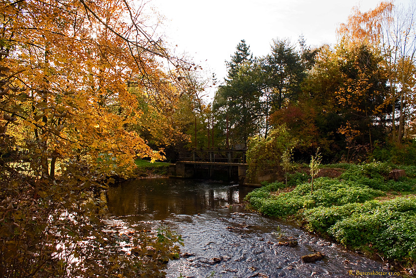 Altes Wehr an der Alme