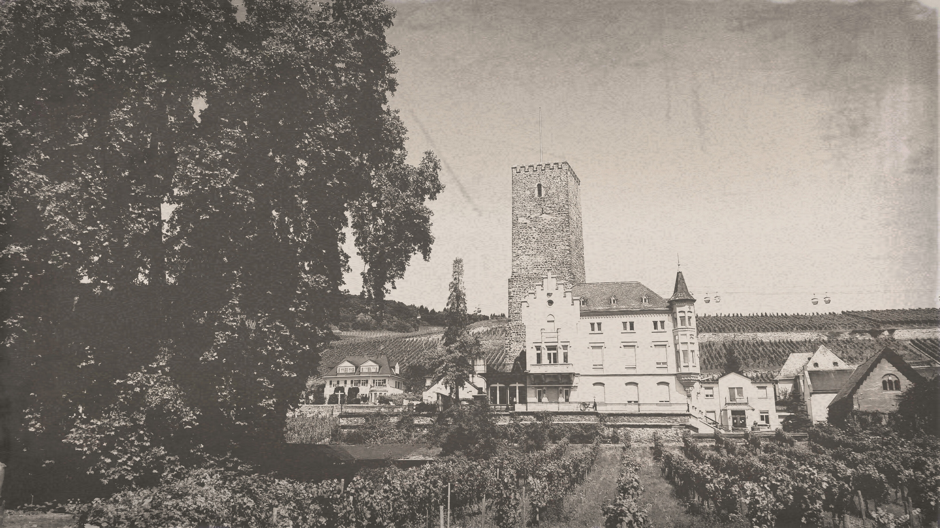 Altes Weingut