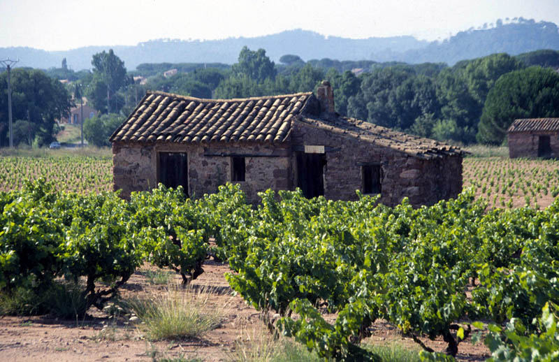 Altes Weingut in Südfrankreich