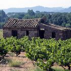 Altes Weingut in Südfrankreich