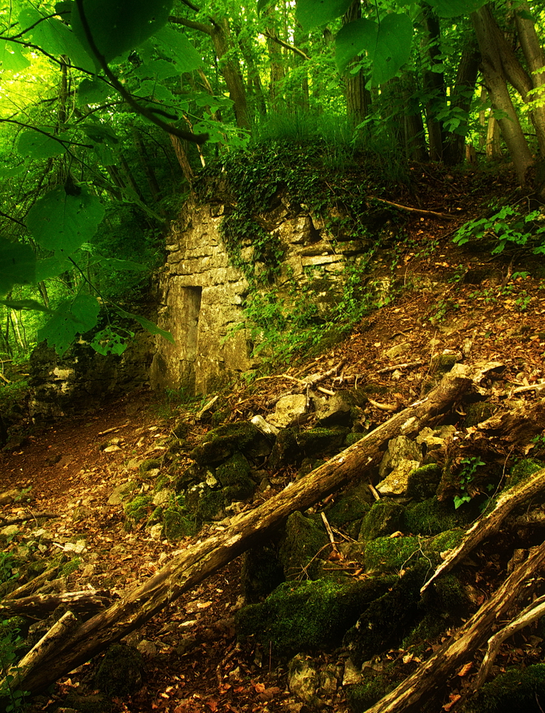 Altes Wengerterhäusle im Wald verborgen