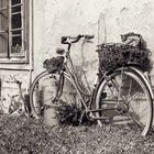 Altes_Fahrrad_sepia