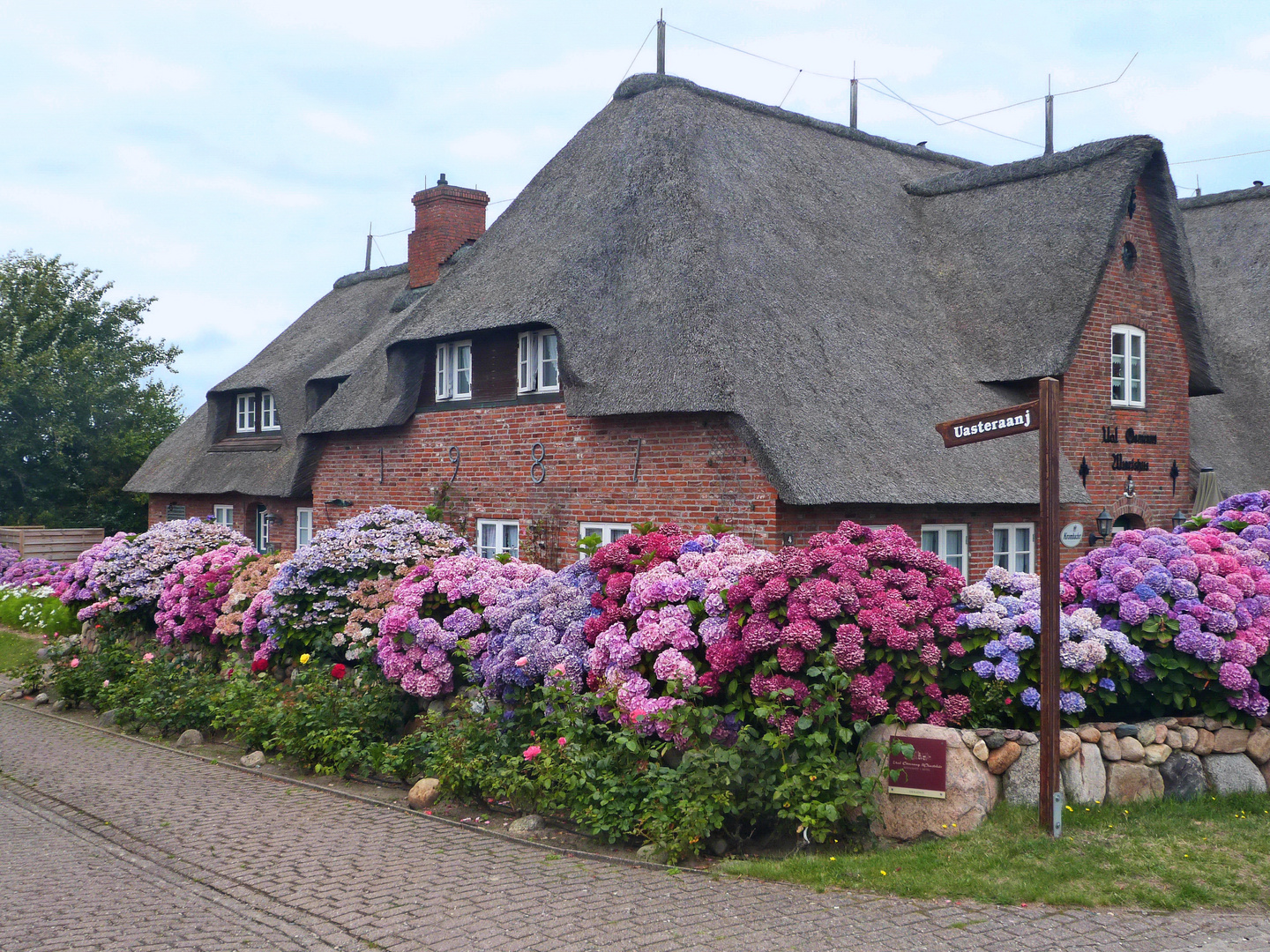 Altfriesische Mittwochsblumenfülle